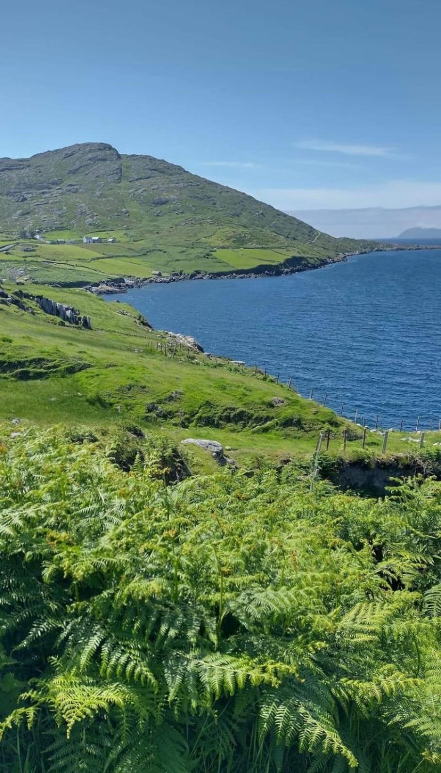 Harbour View Bed & Breakfast Castletownbere Exterior photo